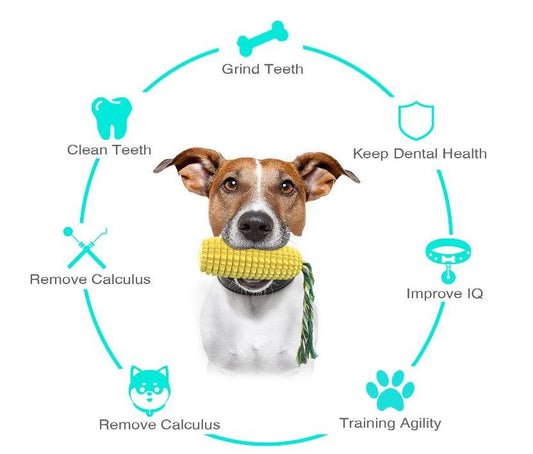 Dog Chew Toys for Aggressive Chewers, Dog Toys - Toys Winner